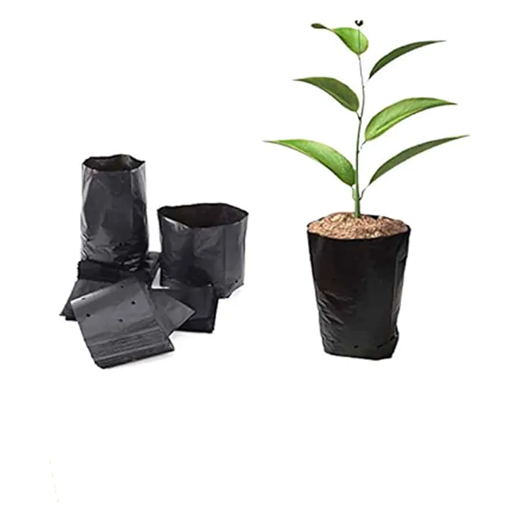 10 Direct Planting Bags