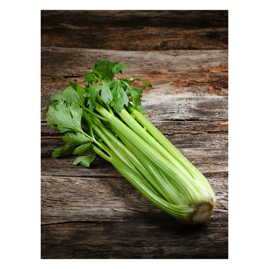 Celery Microgreen Seeds 100 g