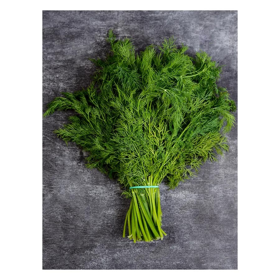 Dill Microgreen Seeds 100 g