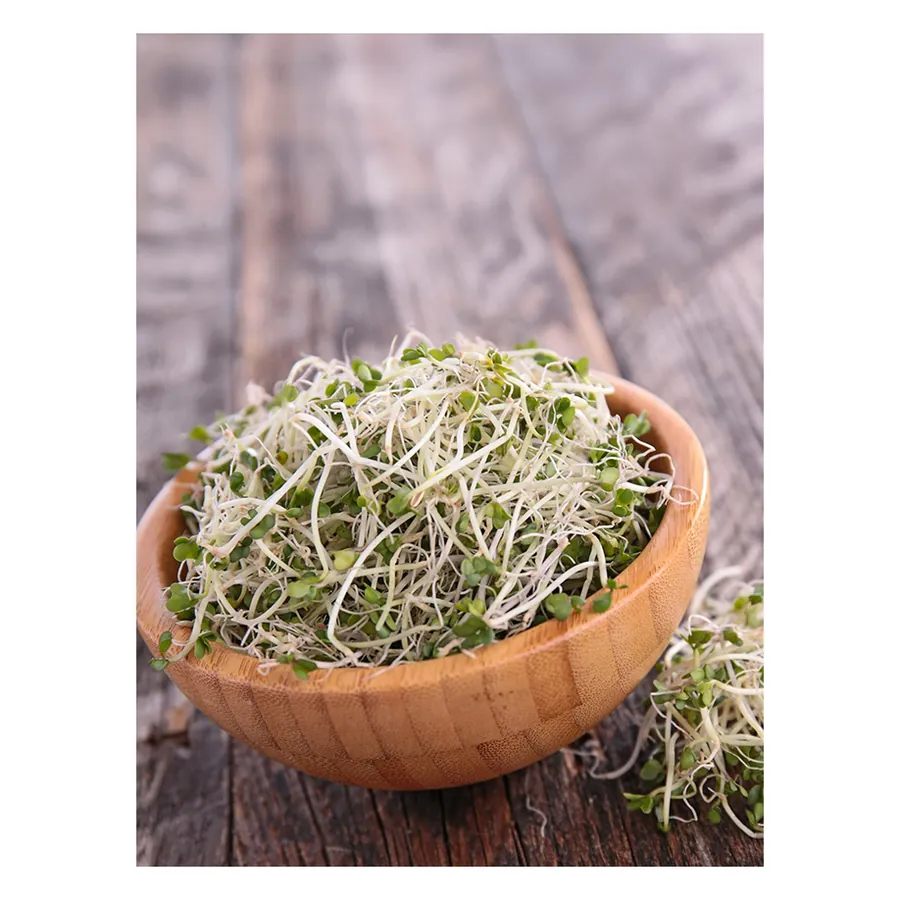 Broccoli Microgreen Seeds 10 g