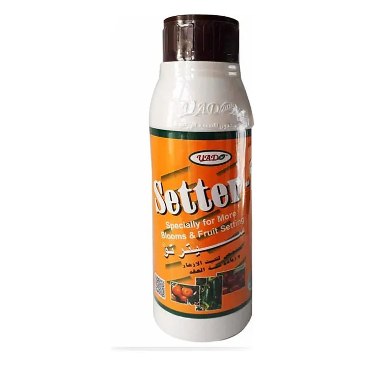 Setter 2 Flower-Set Booster 500 ml