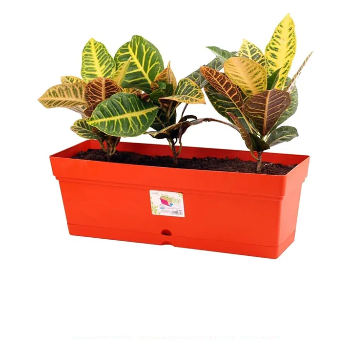 Red Pot 501517 with Saucer - Mintura Original