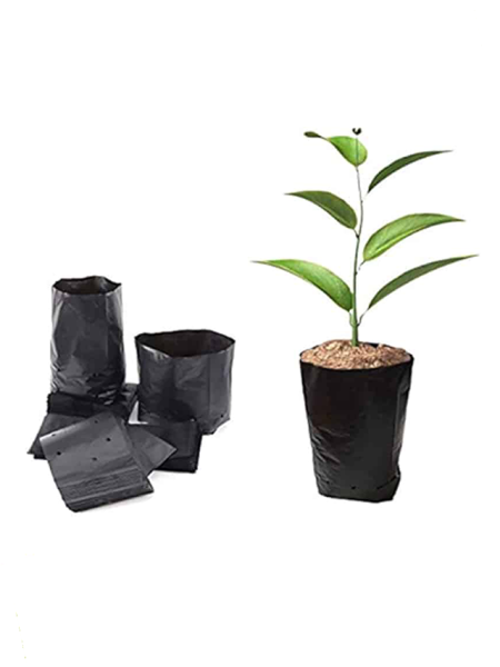 10 Direct Planting Bags