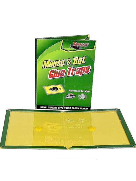 Sticky Mouse Trap
