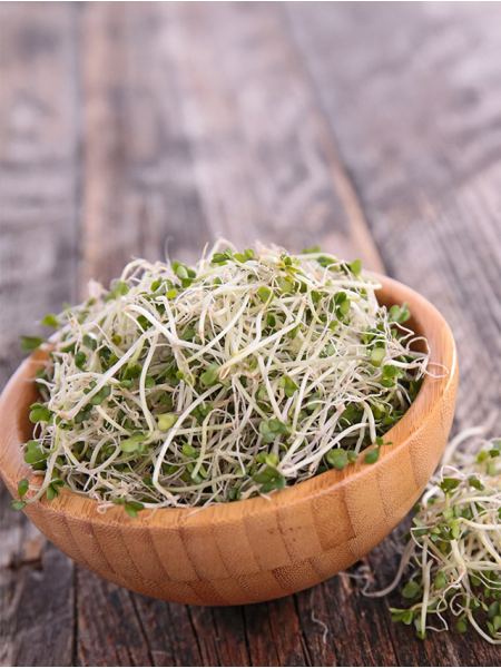 بذور بروكلى ميكرو جرين 10 جرام