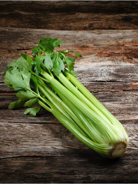 بذور كرفس ميكرو جرين 100 جرام