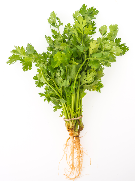 بذور بقدونس ميكرو جرين 100 جرام