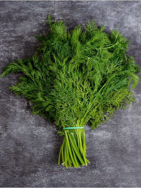 بذور شبت ميكرو جرين 100 جرام