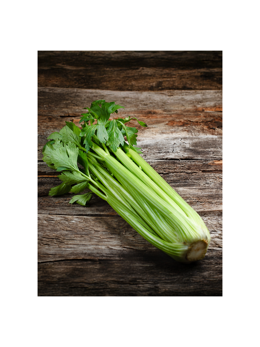 بذور كرفس ميكرو جرين 100 جرام