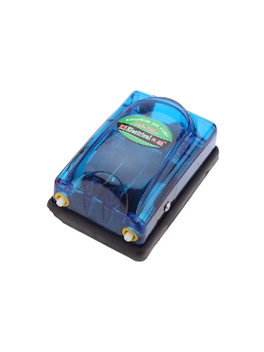 Air Pump with Two Outlets