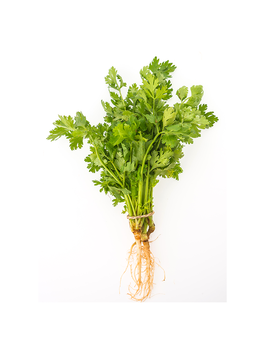 بذور بقدونس ميكرو جرين 100 جرام