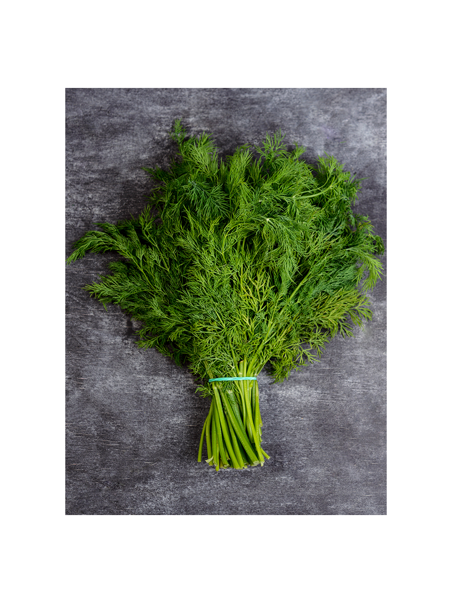 بذور شبت ميكرو جرين 100 جرام