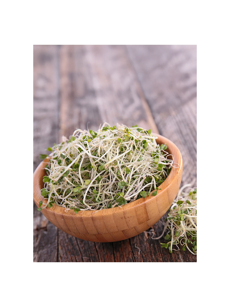 بذور بروكلى ميكرو جرين 10 جرام